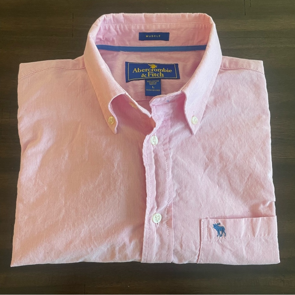 Abercrombie & Fitch Pink Oxford Cloth Button Down Shirt